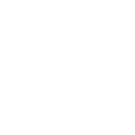 Illustration of medical conditions for Asthma & Bronchitis