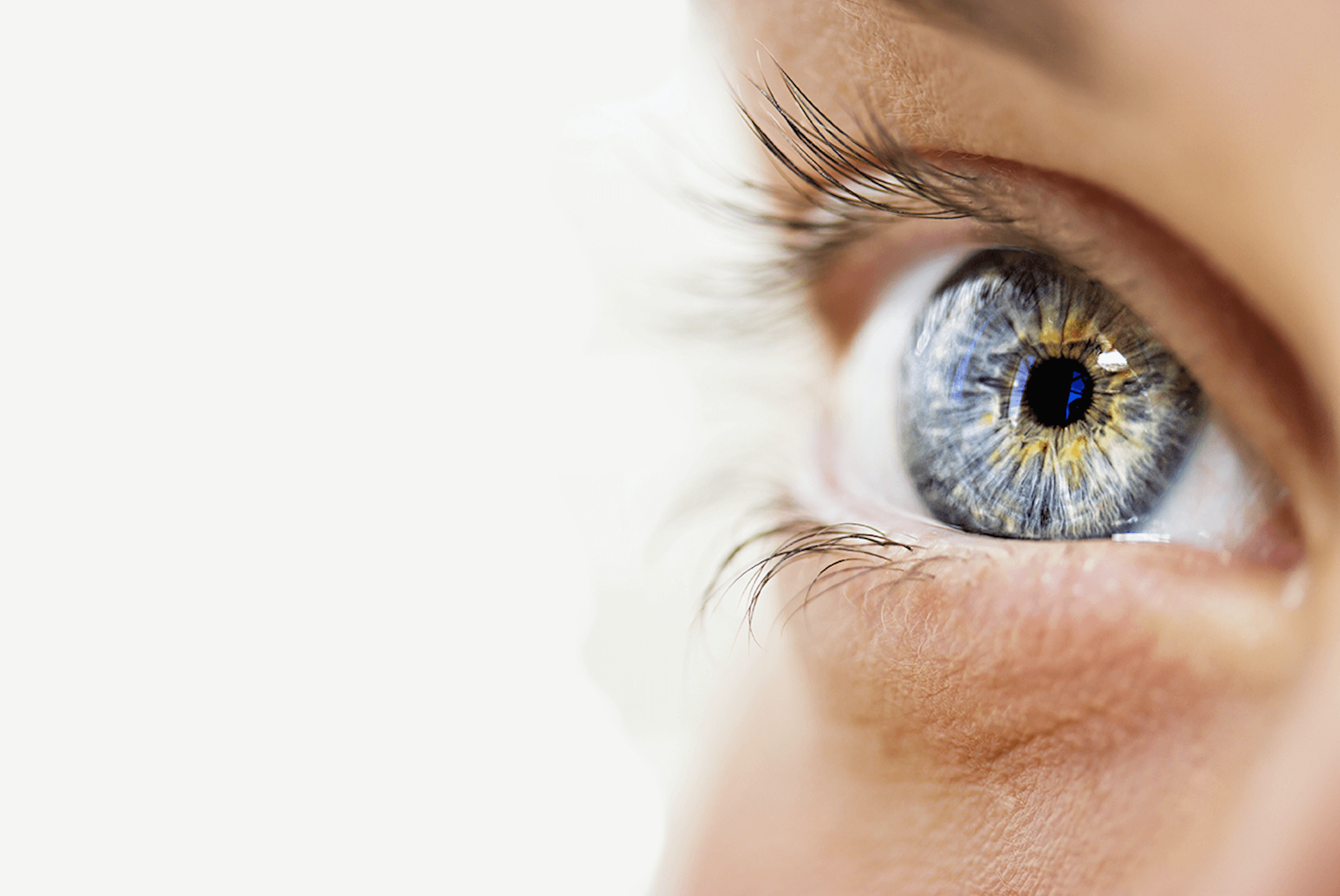 Image of Ophthalmology