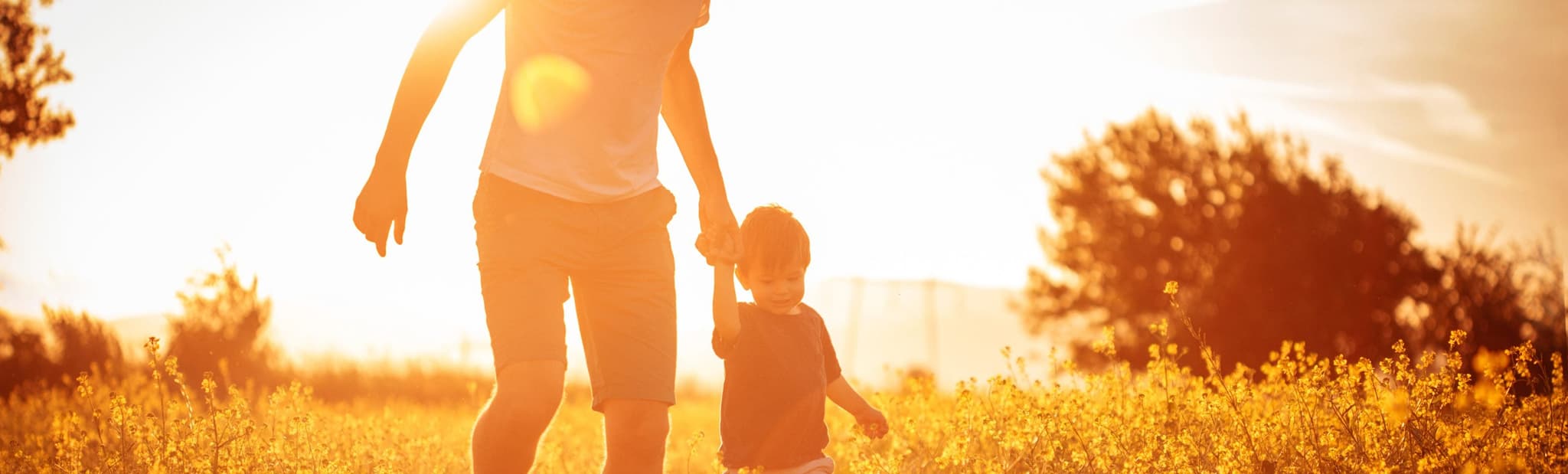 Picture of father and child walking through field