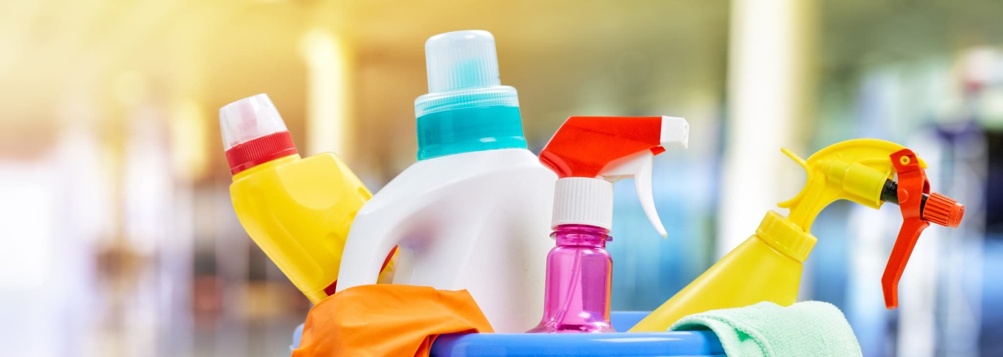 Picture of bucket full of cleaning supplies