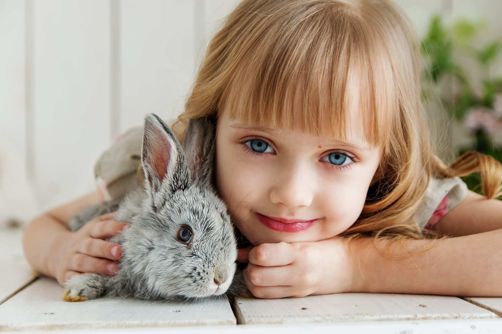 Picture of cute child with bunny