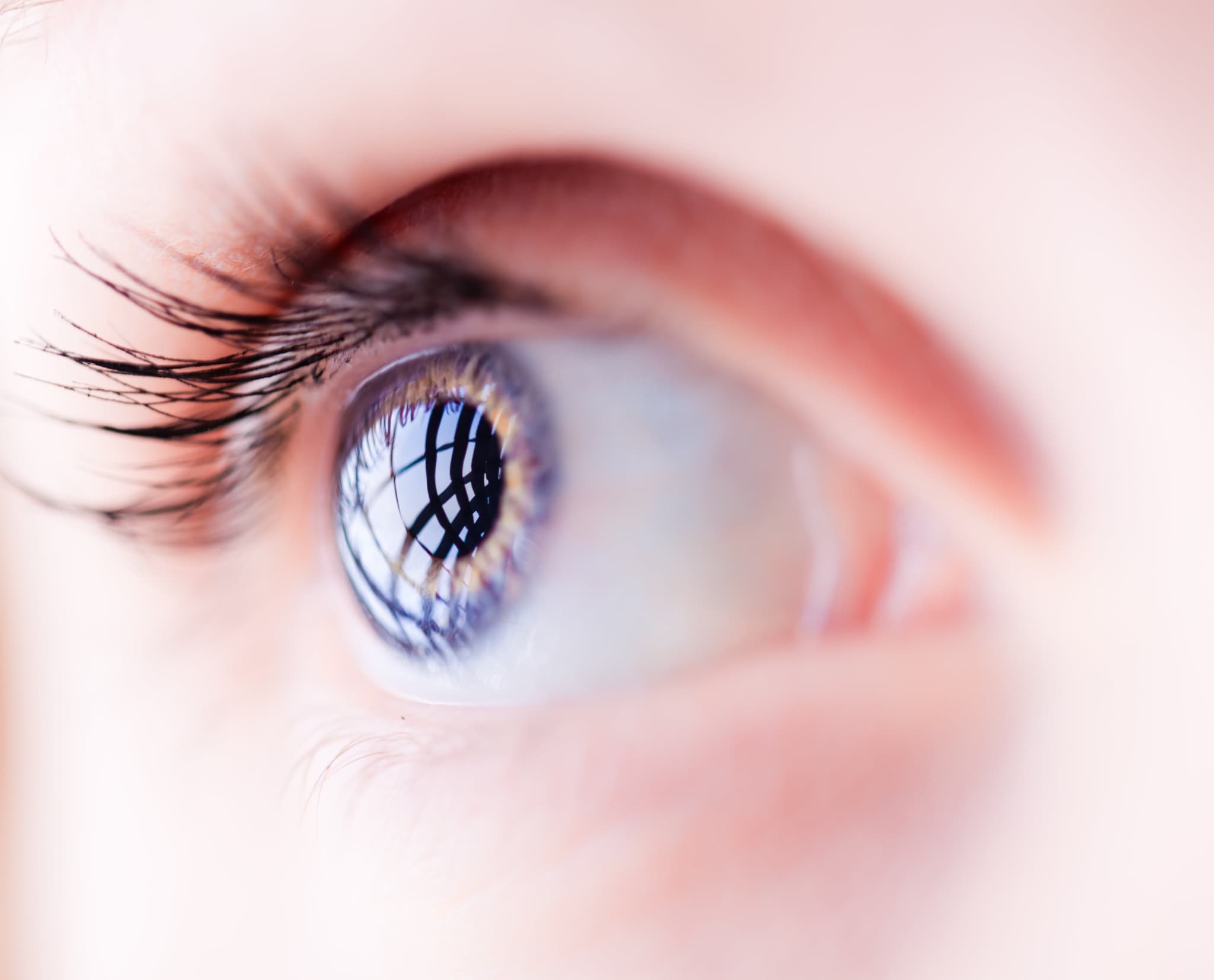 Picture of Macro of a blue female eye