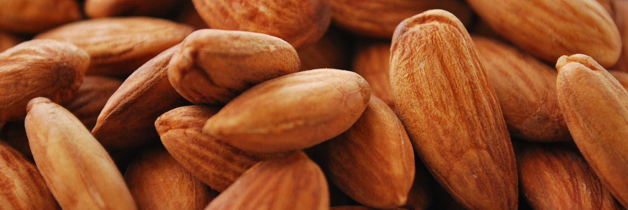 pile of almonds