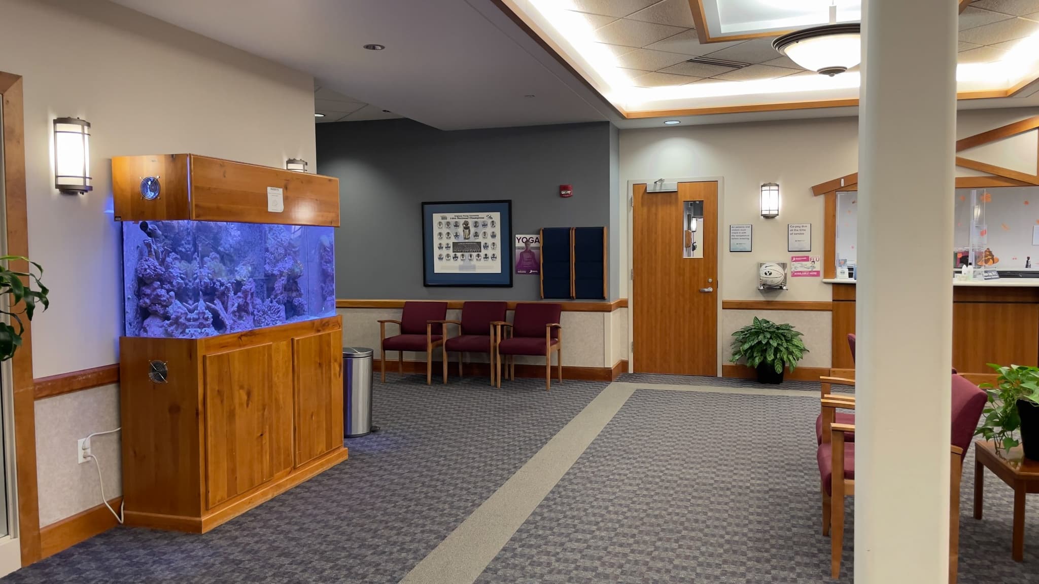 Provo Orthopedics