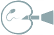 Icon of Infertility