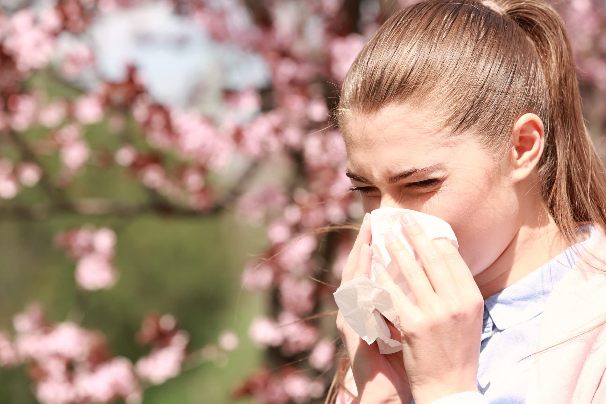 Picture of Sneezing young girl with nose wiper among blooming trees in park