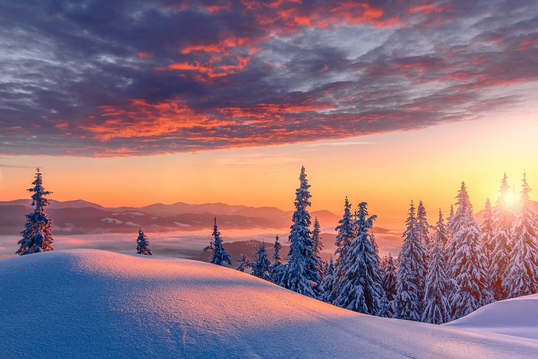 Picture of Fantastic winter landscape during sunset. colorful sky glowing by sunlight. Dramatic wintry scene. snow covered trees under warm sunlit. Sunlight sparkling in the snow. Splendid Alpine winter