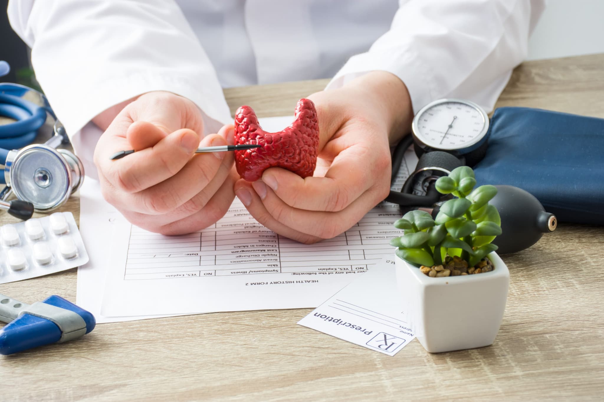 Picture of At doctors appointment physician shows to patient shape of thyroid gland with focus on hand with organ. Scene explaining patient causes and localization of diseases of thyroid and endocrine system