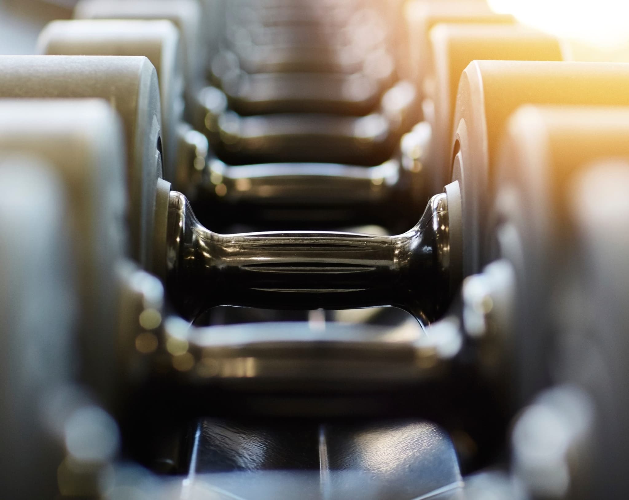 Picture of row of hand weights