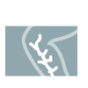 Icon of Peripheral Angioplasty