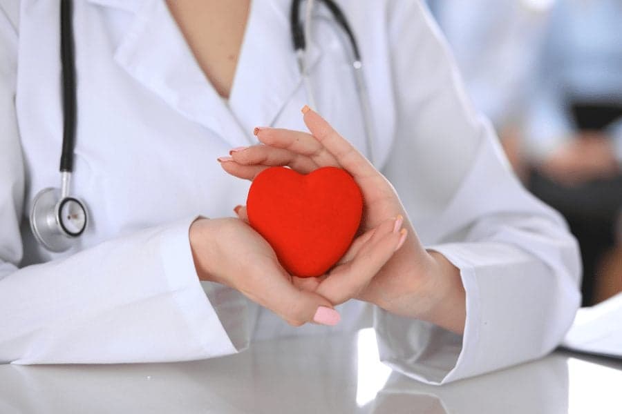 Picture of doctor holding heart plushy