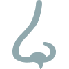Icon of Nasal and Sinus Allergies