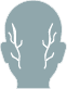 Icon of Occipital Nerve Blocks