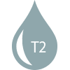 Icon of Type 2 Diabetes