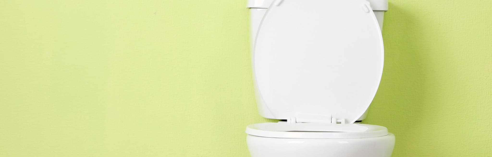 toilet against green background