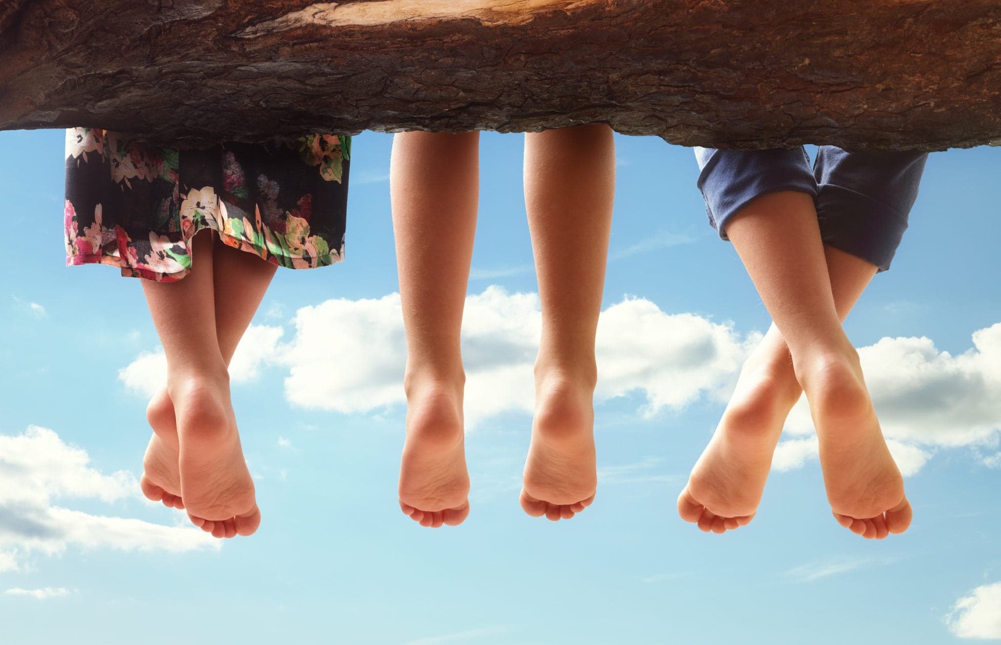 Picture of Three kids sitting in a tree dangling their feet against a blue sky in summer concept for family, friends, carefree and vacations