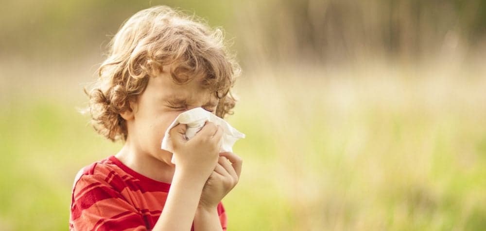 Picture of Little blond boy sneezing due to allergy related problems, on a sunny day outdoors. He is holding a handkerchief in his hands, looking away.