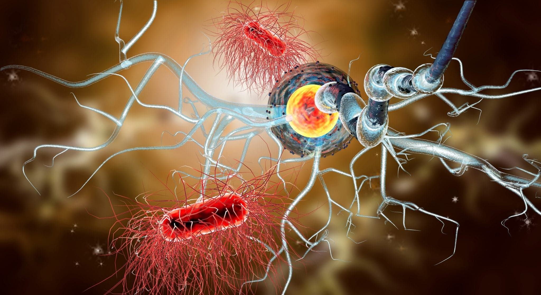 Image of 3d illustration of nerve cells, concept for Neurological Diseases, tumors and brain surgery.
