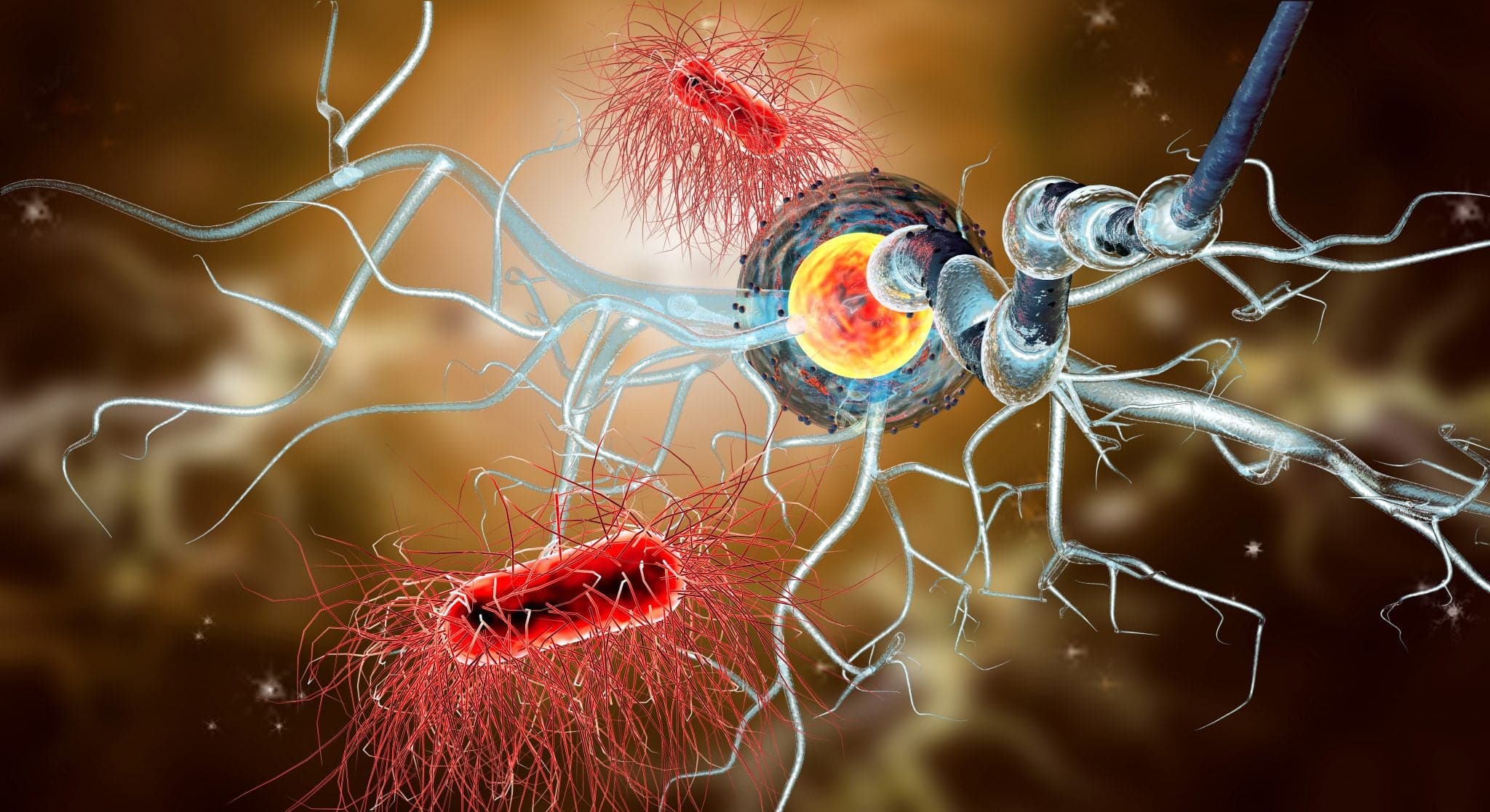 Picture of 3d illustration of nerve cells, concept for Neurological Diseases, tumors and brain surgery.