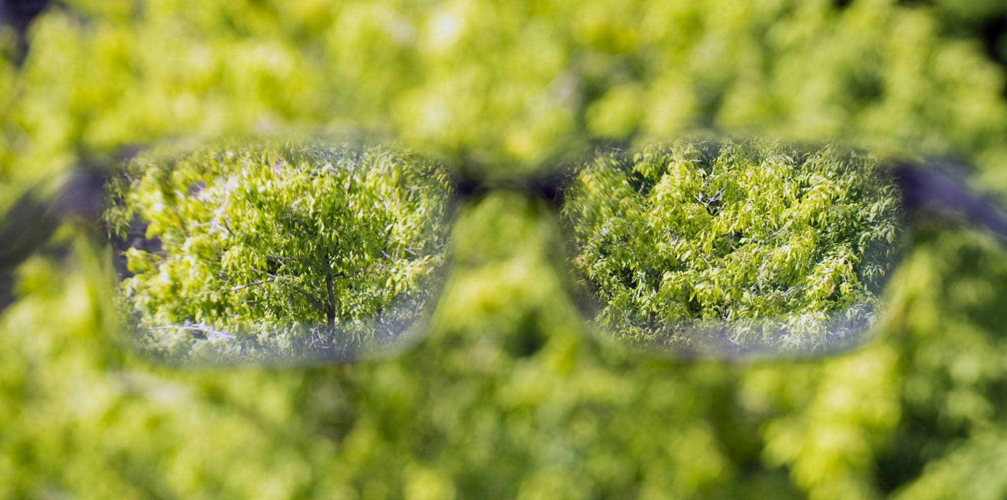 Picture of eyeglasses in the hand over blurred background, Outside, looking through eyeglasses, blurry background