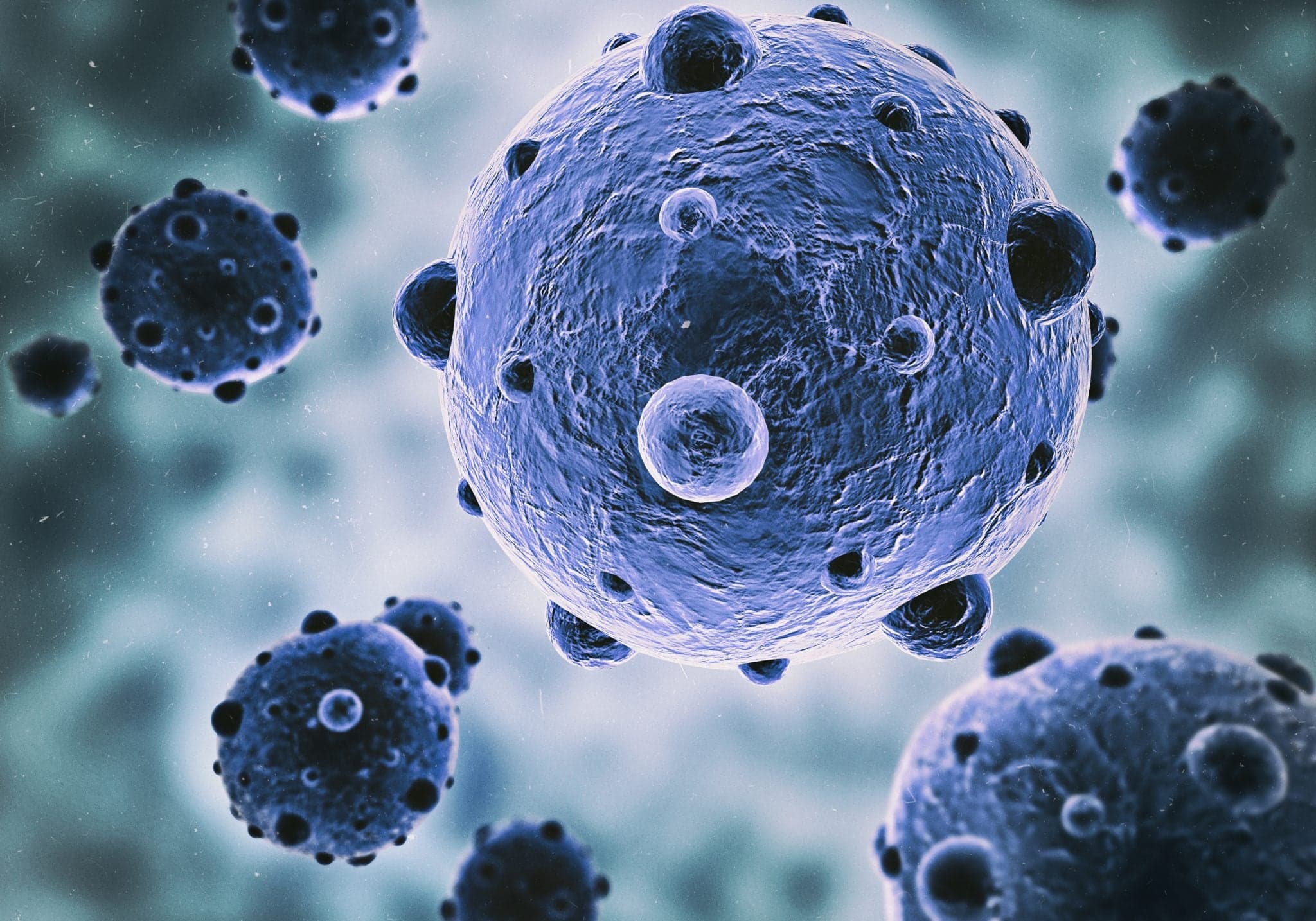 Image of bacteria as seen under a microscope