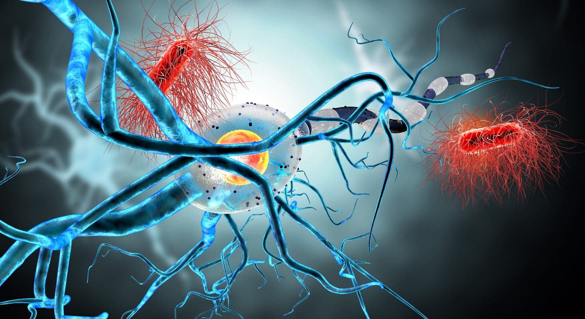 Picture of 3d illustration of nerve cells and viruses