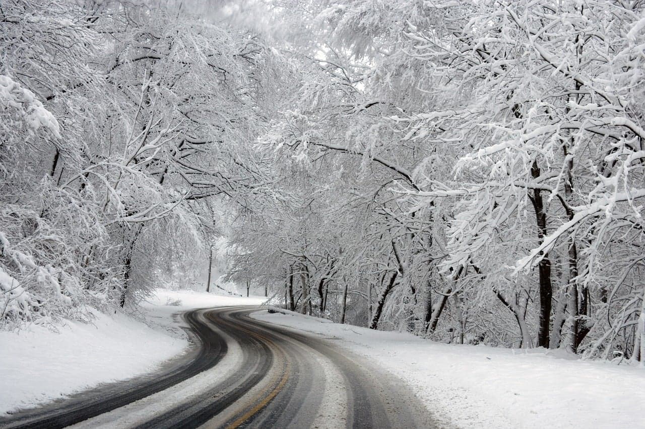 Snowy forest road
