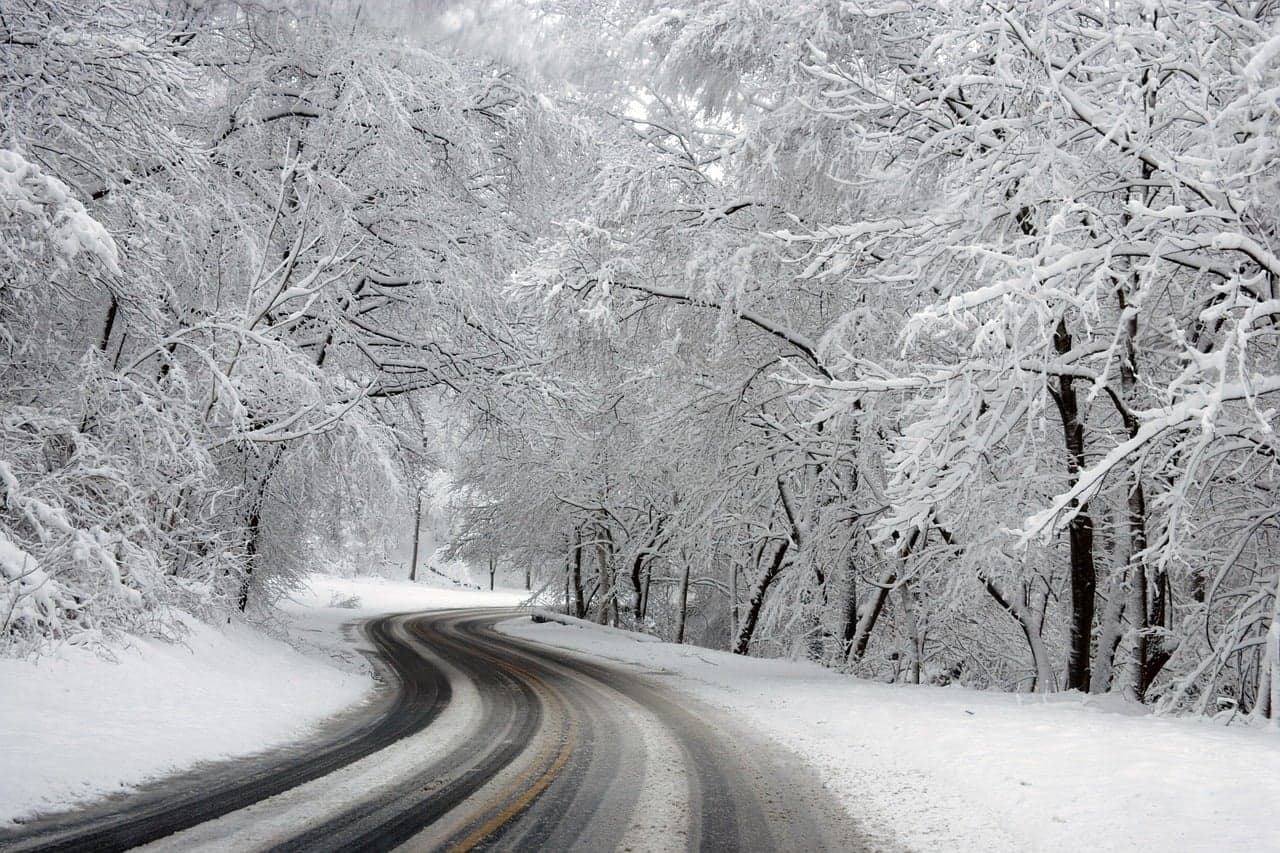 Picture of Snowy forest road