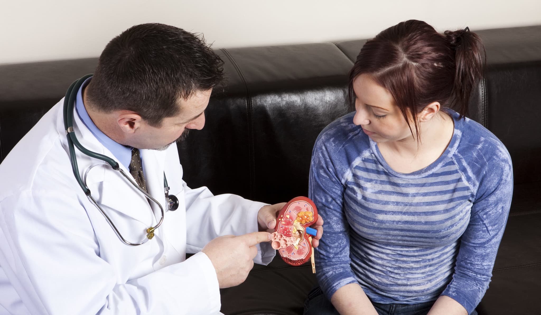 Doctor doctor explaining to patient using model of kidney