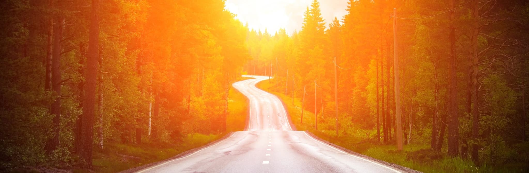road surrounded by trees leading into sunset
